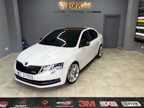 skoda oto cam filmi (1)
