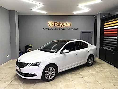 skoda oto cam filmi (2)